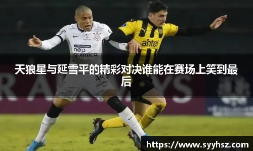 南宫NG体育官方网站
